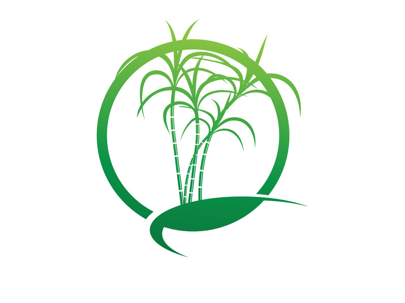 Sugar cane Logo Template vector symbol nature 2813807 Vector Art at Vecteezy