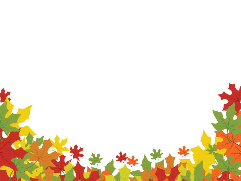 Maple Leaf design illustration