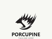 Porcupine logo design. animal vintage minimalist logo Hedgehog modern template icon