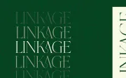 Grass - Serif Font