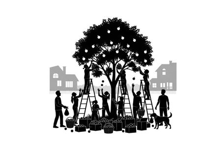 Silhouette of people decorating a tree with lights in a residential area silhouette