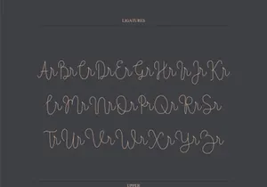 Overlovely Script Font