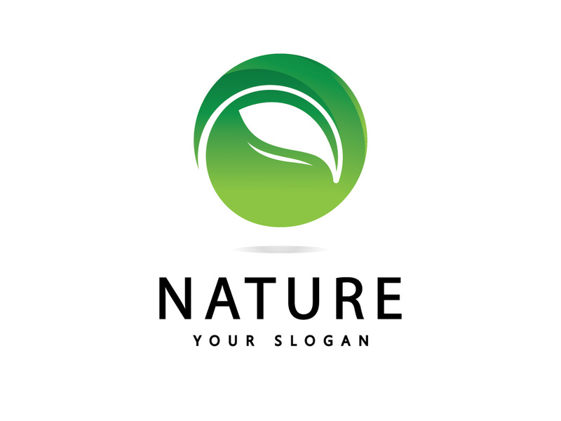 Green leaf logo  Nature icon design