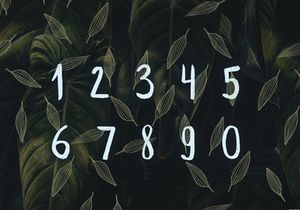 Beautify your text with leafy free brush font | EpicPxls