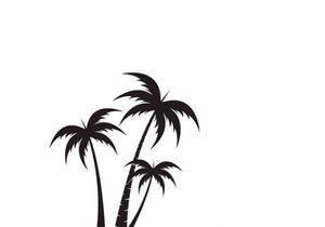 Palm tree summer logo template vector illustration