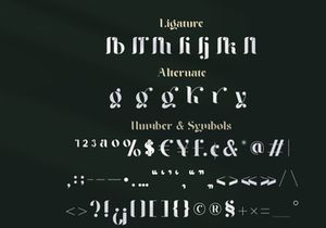 Braga Serif - Classic & Modern