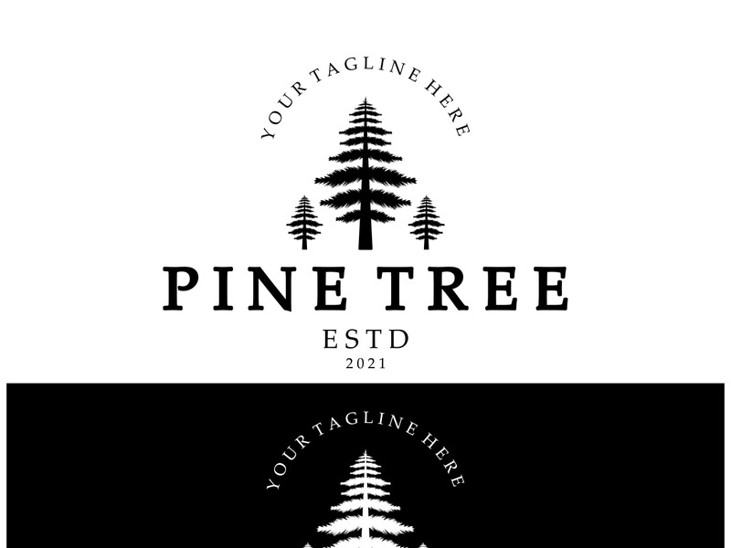 simple pine or fir tree logo,evergreen.for pine forest,adventurers,camping,nature,badges and business.vector