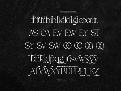 Evoxsy | Elegant Serif