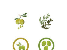 Extra virgin olive oil logo icon design vector illustration