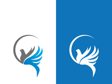 Dove bird logo vector design illustration