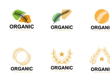 Wheat Rice Logo Vector Design
