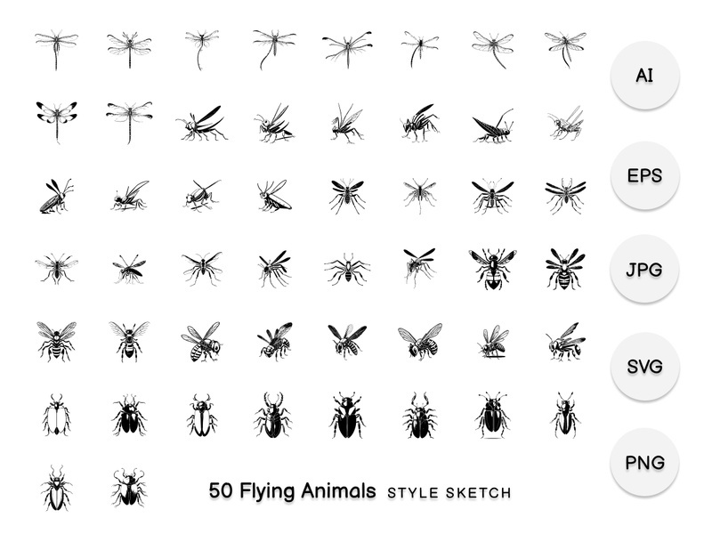 Flying Animals Element Draw Black