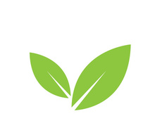 Leaf logo vector icon design template