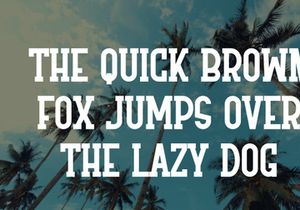 Vintage Summer - Condensed Slab Serif