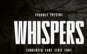 Whispers - Condensed Sans Serif