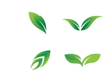 Green leaf logo design template modern leaf logo vector