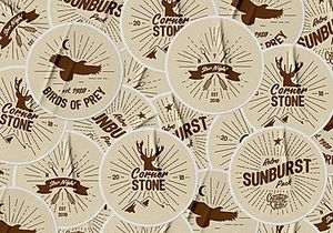 Vintage Glory: Sunburst Vector Set