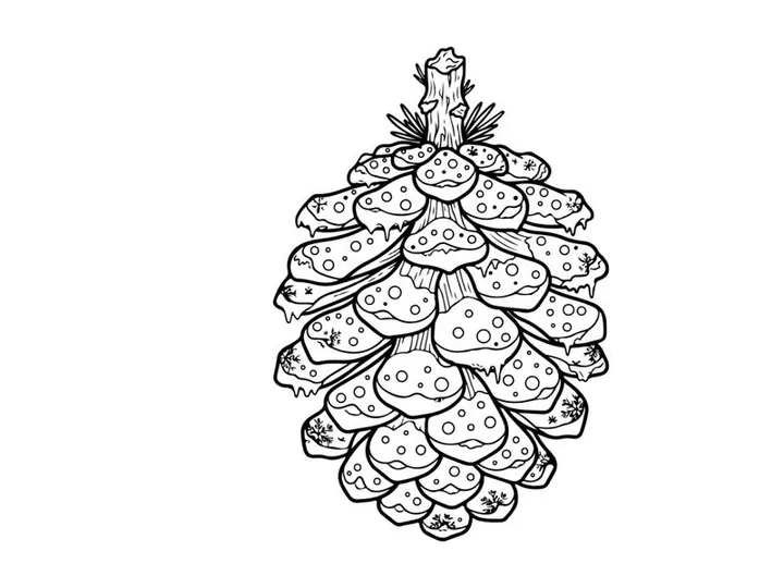 Ilustración de arte lineal de piña. Boceto botánico dibujado a mano de una cápsula de semillas de conífera.