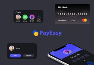 Payeasy Wallet UI kit