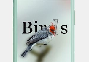Birds Website Design-Free Glassmorphism-Responsive