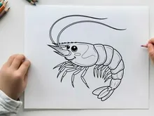 Cute shrimp cartoon smiling vector illustration flat design