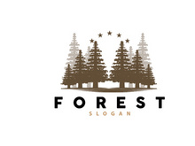 Forest Logo, Vector Forest Wood With Pine Trees Design