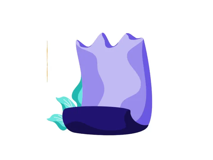 Payment Receipt Animation for transaction