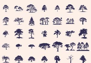 Silhouettes Trees Set, Pine Tree fir pruce cedar white patch alder elm birch ash cypress beech palm tree.