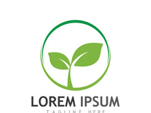 Natural green leaf logo.