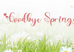 Best Spring