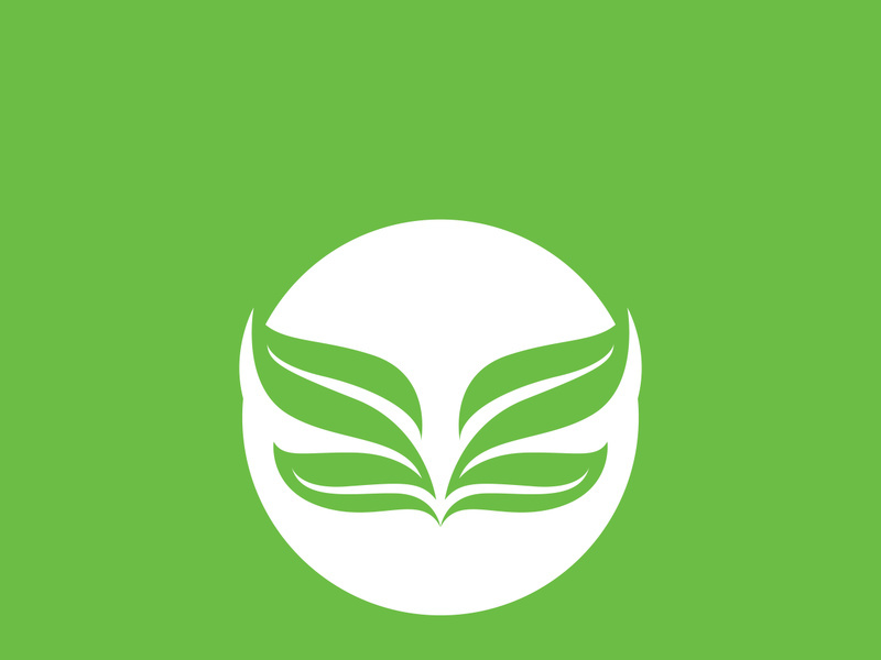 Leaf logo green nature vector image
