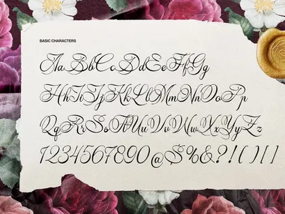 Alventary | Classic Elegant Script