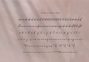 Dohemika | Handwritten Script