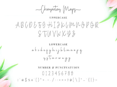 Miya Wayne - Modern Lovely Script Font