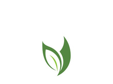 Green leaf ecology nature element vector icon