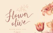 Olsaviella - Signature Font