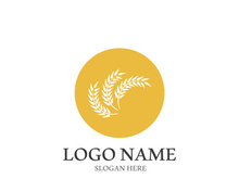 Wheat logo vector icon illustration design