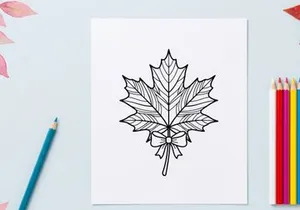 Detailed maple leaf illustration for nature and botanical projects. Artistic botanical drawing emphasizing leaf structure and natural beauty.