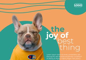 Pet Lovers Minimal Colorful Instagram Template