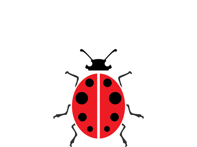 ladybird animal  vector logo symbol icon