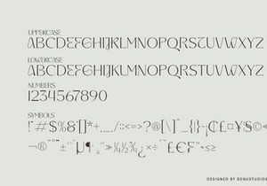 Tarekah | Modern Serif Font