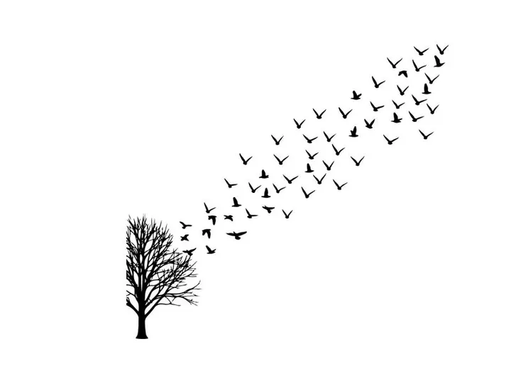 Silhouette of birds flying from tree on white and yellow background silhouette