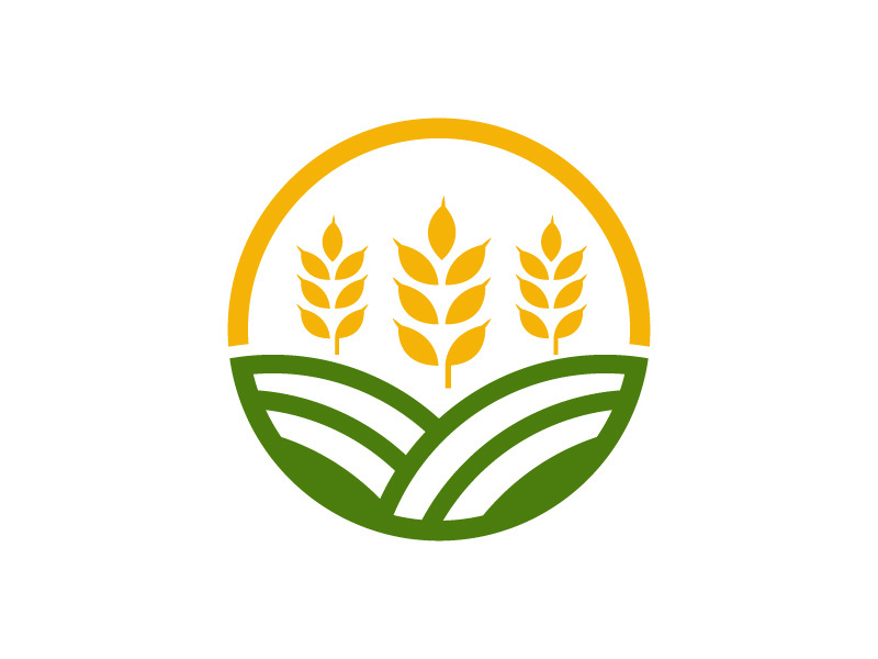 Agriculture wheat rice icon illustration