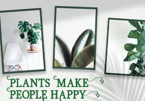 Girdens - Decorative Serif Font