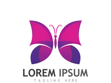 Beautiful and colorful butterfly creative logo design.