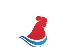 Rooster head logo template vector