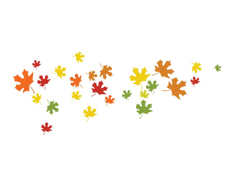 Maple Leaf design illustration