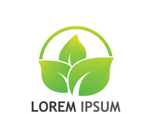 Natural green leaf logo design.