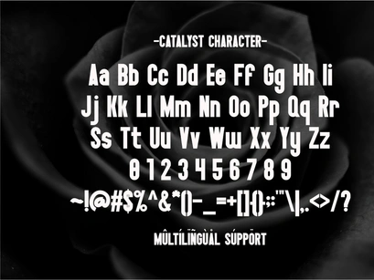 Catalyst - Condensed Sans Serif