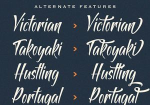 Antapin - Bold Script Font